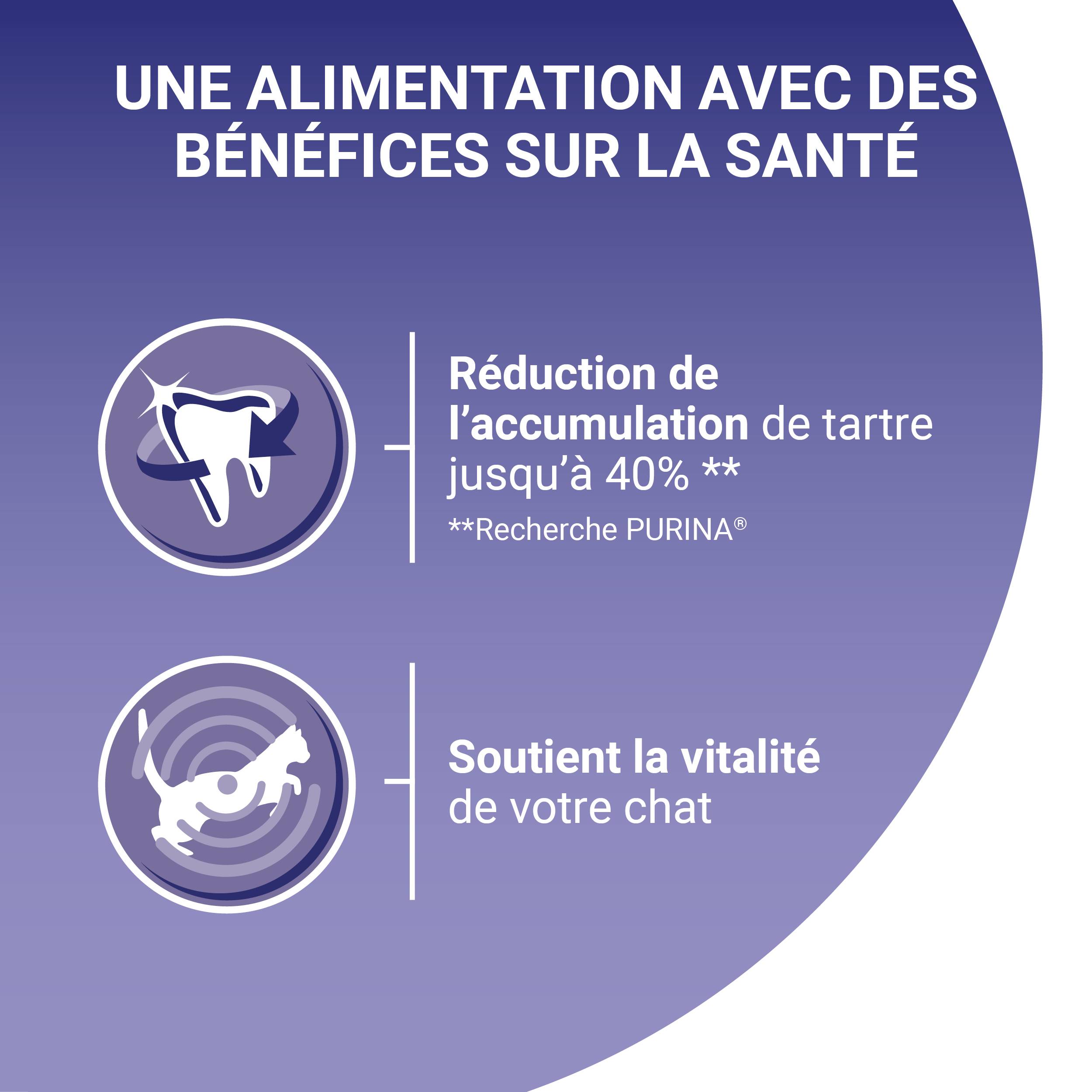 Purina One - Croquettes chat Adulte au Saumon et aux Céréales Complètes 1,5 kg - PURINA ONE - Image 5