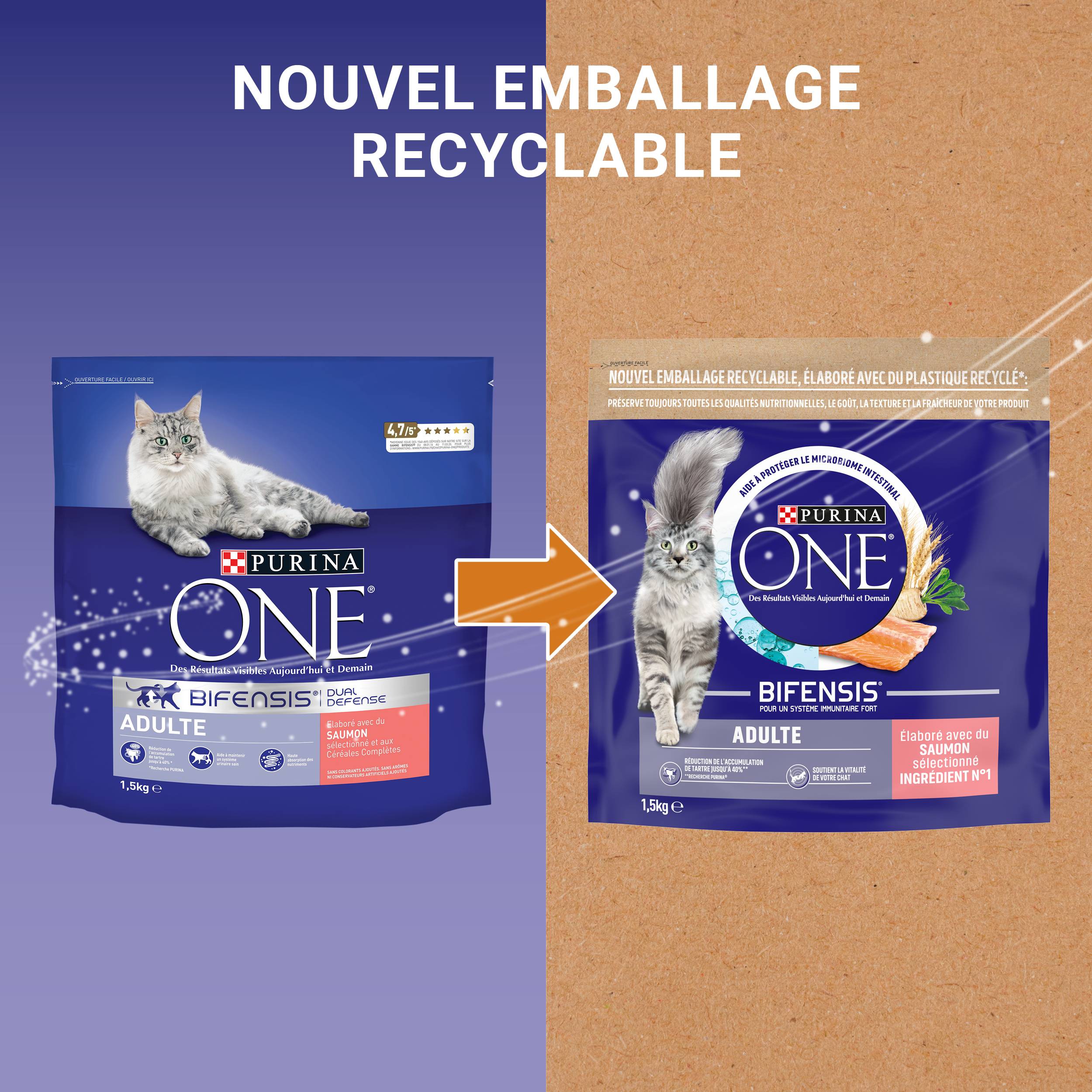 Purina One - Croquettes chat Adulte au Saumon et aux Céréales Complètes 1,5 kg - PURINA ONE - Image 4