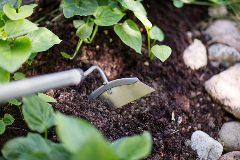 Fiskars - Binette ergonomique – FISKARS - Image 2
