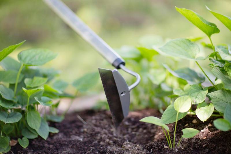 Fiskars - Binette ergonomique – FISKARS - Image 4