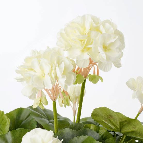 Mica Decorations - Géranium Crème Artificiel en pot Stan gris H.34 x Ø 20 cm - Image 2