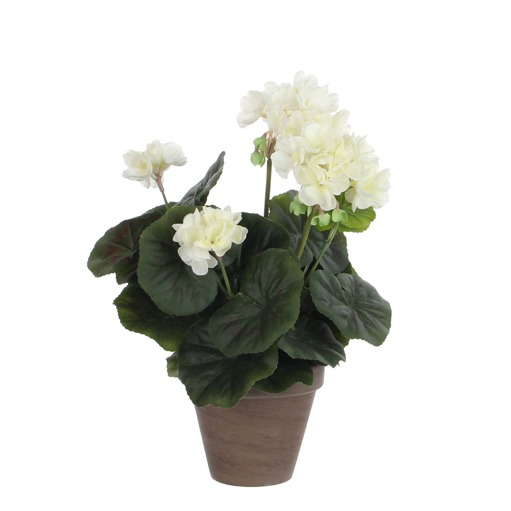 Mica Decorations - Géranium Crème Artificiel en pot Stan gris H.34 x Ø 20 cm - Image 1