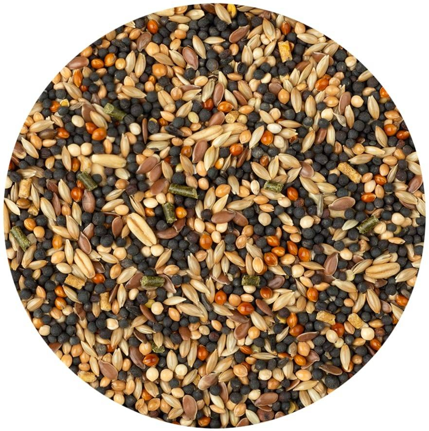 Alimentation Complète Canaris Miel 900 g – - Image 3