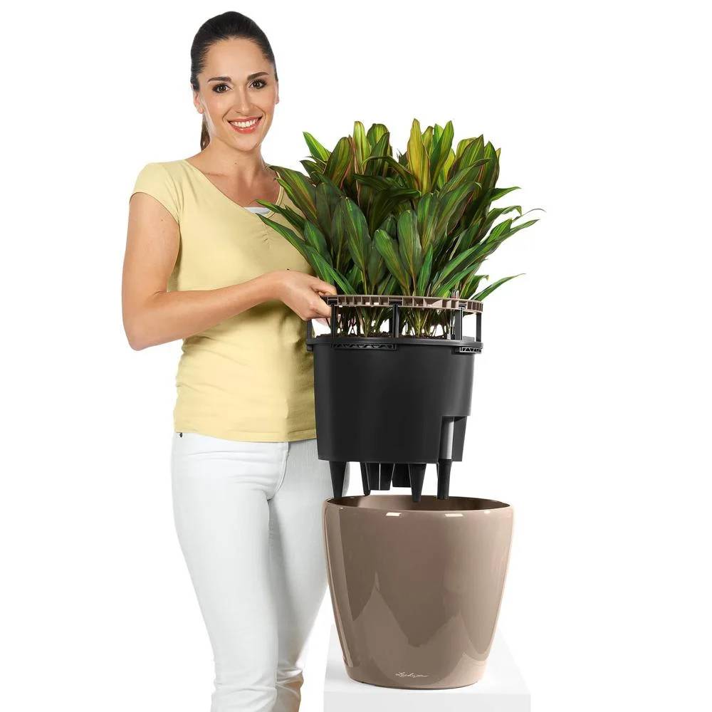 Pot + bac d’arrosage taupe - CLASSICO PREMIUM - Image 4