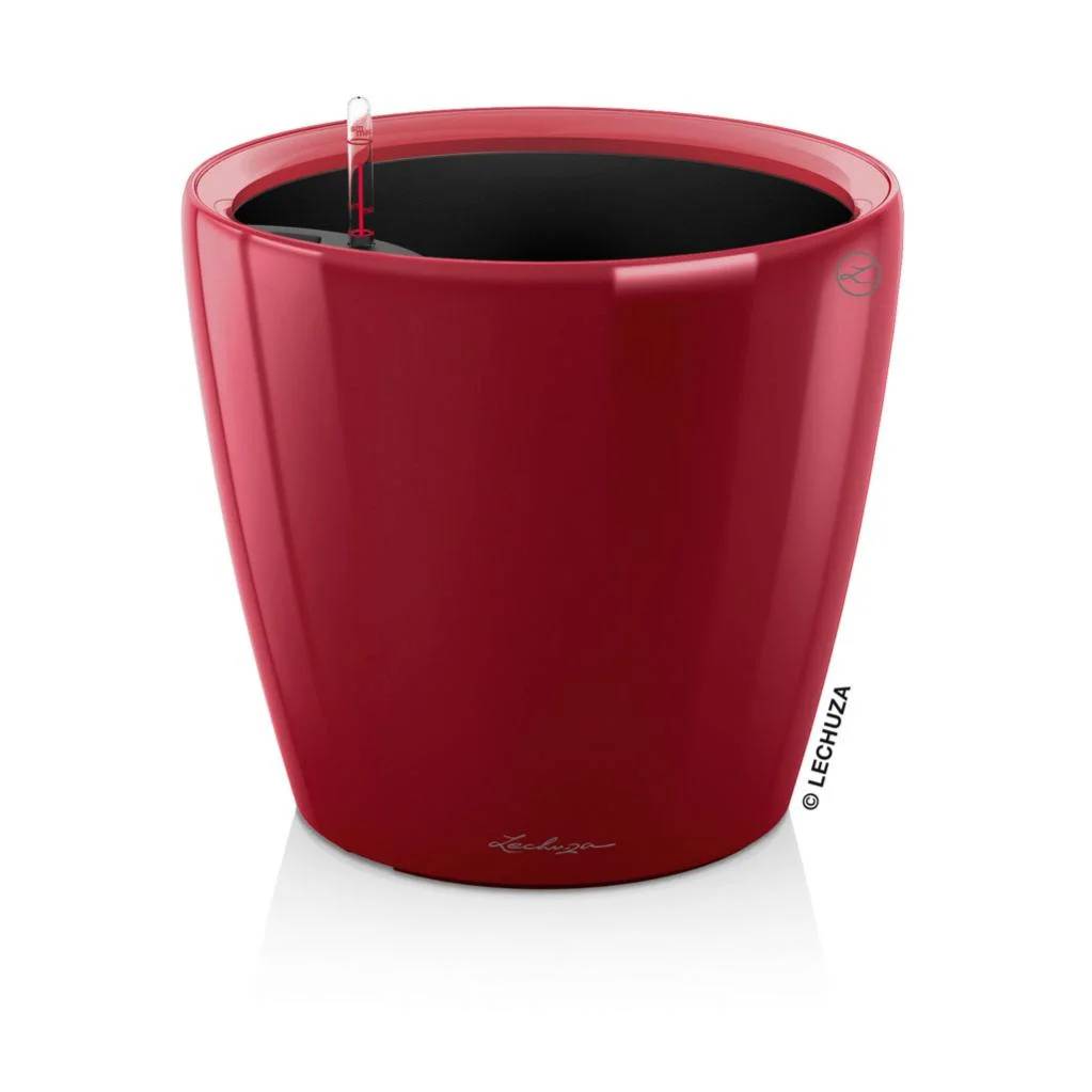 Pot Classico Premium LECHUZA - Image 3