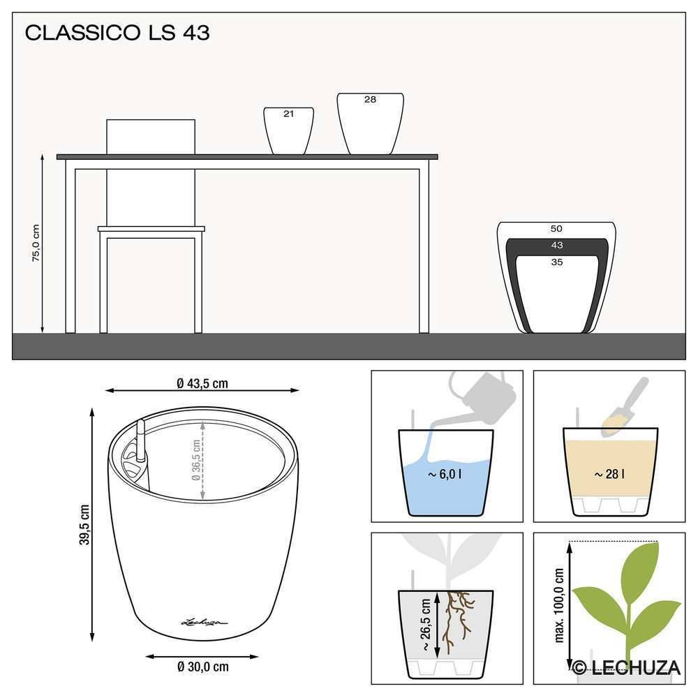 Pot Classico Premium LECHUZA - Image 5