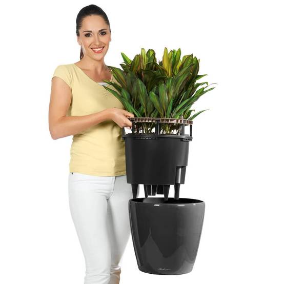 Jardinière Classico LS 43 ALL-IN-ONE plastique charbon Ø43xH.39.5 cm - Lechuza - Image 4