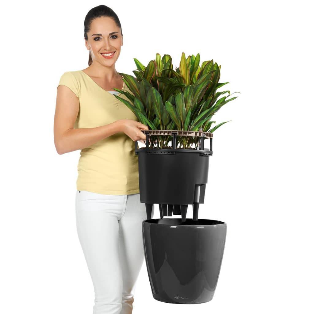 Jardinière Classico LS 43 ALL-IN-ONE plastique charbon Ø43xH.39.5 cm - Lechuza - Image 4