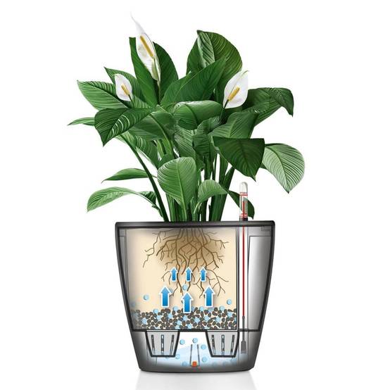 Jardinière Classico LS 43 ALL-IN-ONE plastique charbon Ø43xH.39.5 cm - Lechuza - Image 3