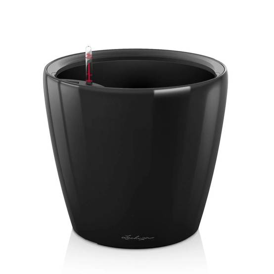 Pot Bac Arrosage Cadre-Anse Noir Brillant Ø 21 cm H 20 cm - Image 2