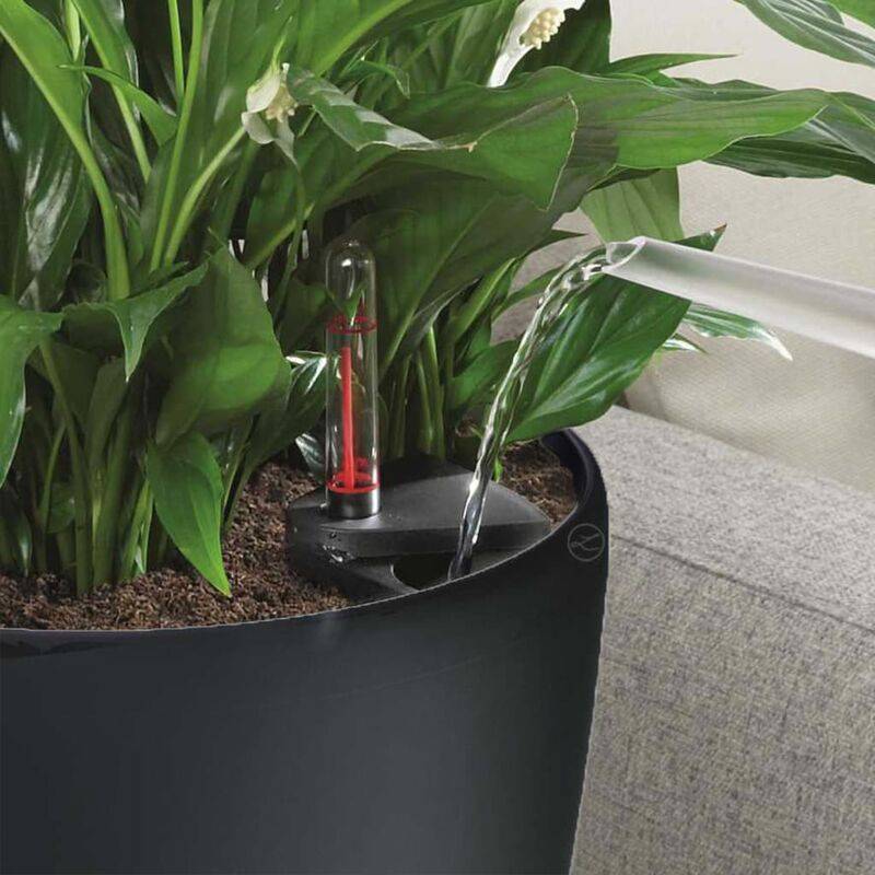Jardinière Classico LS 28 ALL-IN-ONE plastique charbon métallisé Ø28xH.26 cm - Lechuza - Image 4
