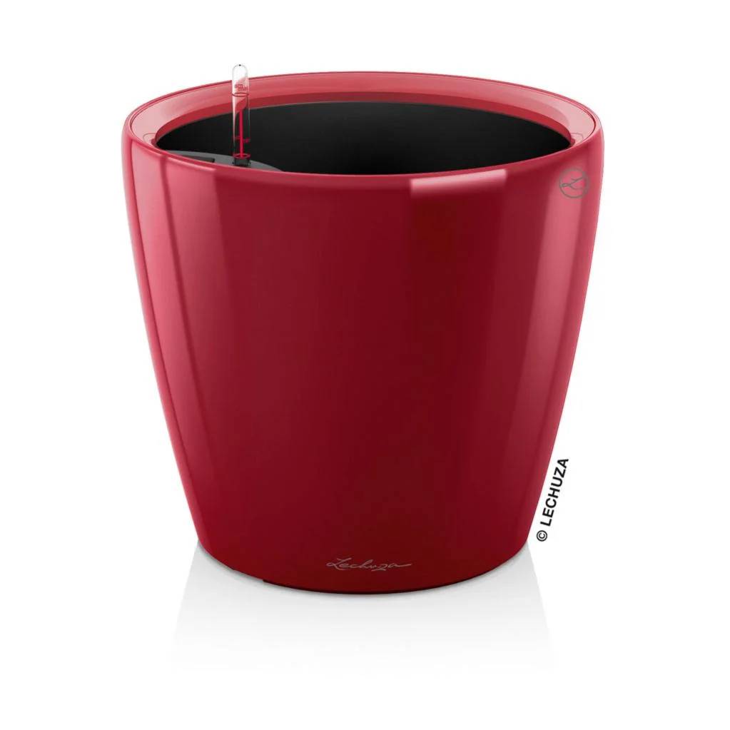 Lechuza - Pot Classico Premium - LECHUZA - Image 2