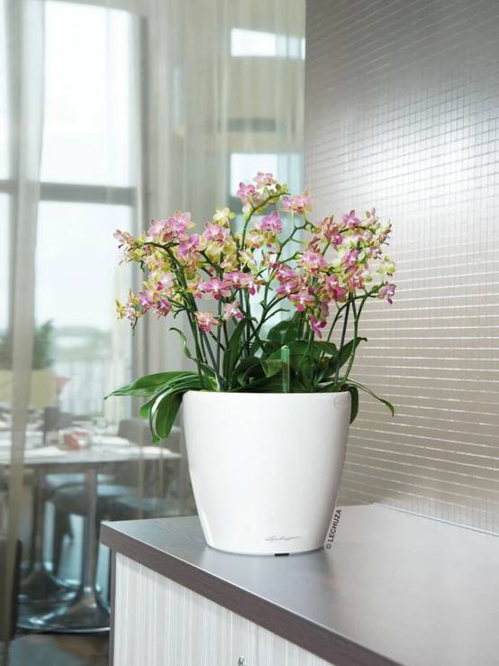 Lechuza - Jardinière Classico 35 LS All-in-One - LECHUZA - Image 5