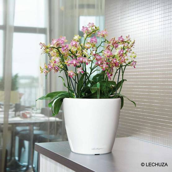 Lechuza - Jardinière Classico 35 LS All-in-One - LECHUZA - Image 8