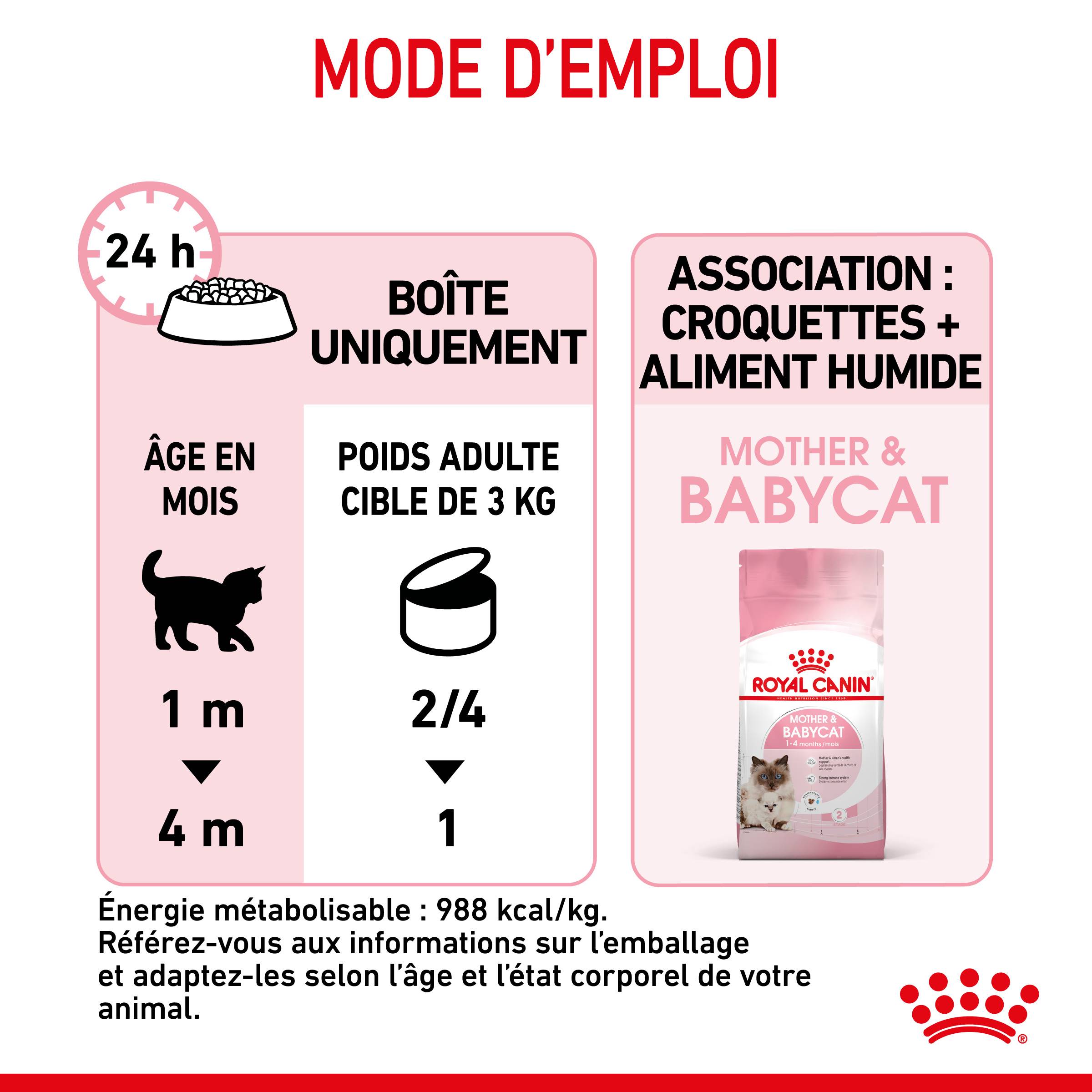Royal Canin - Mousse pour chatons et chattes - ROYAL CANIN - Image 7