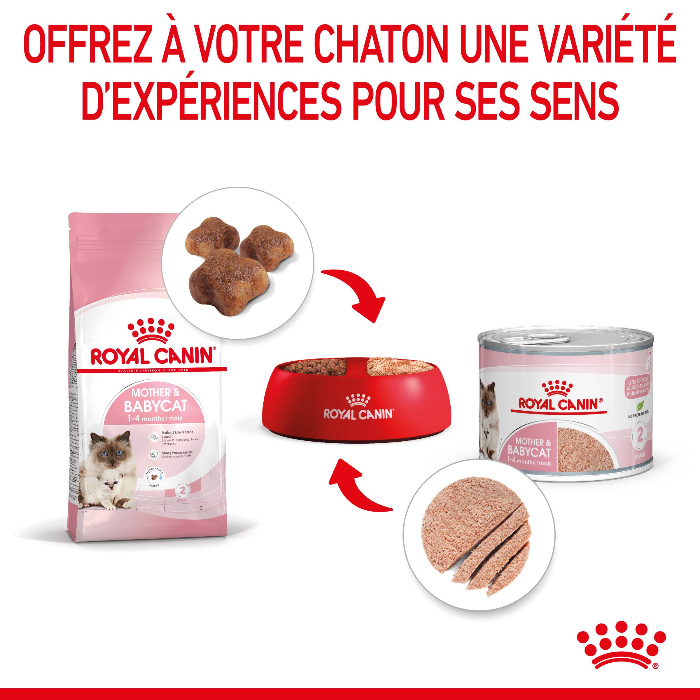 Royal Canin - Mousse pour chatons et chattes - ROYAL CANIN - Image 4