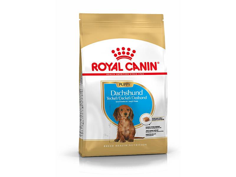 Royal Canin - Croquettes chien junior 1.5kg teckel – ROYAL CANIN
