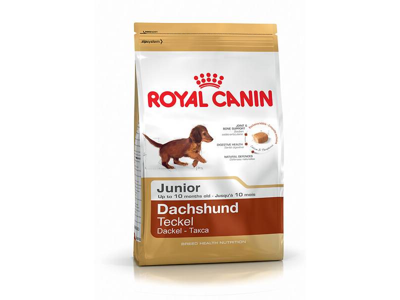 Royal Canin - Croquettes chien junior 1.5kg teckel – ROYAL CANIN - Image 3