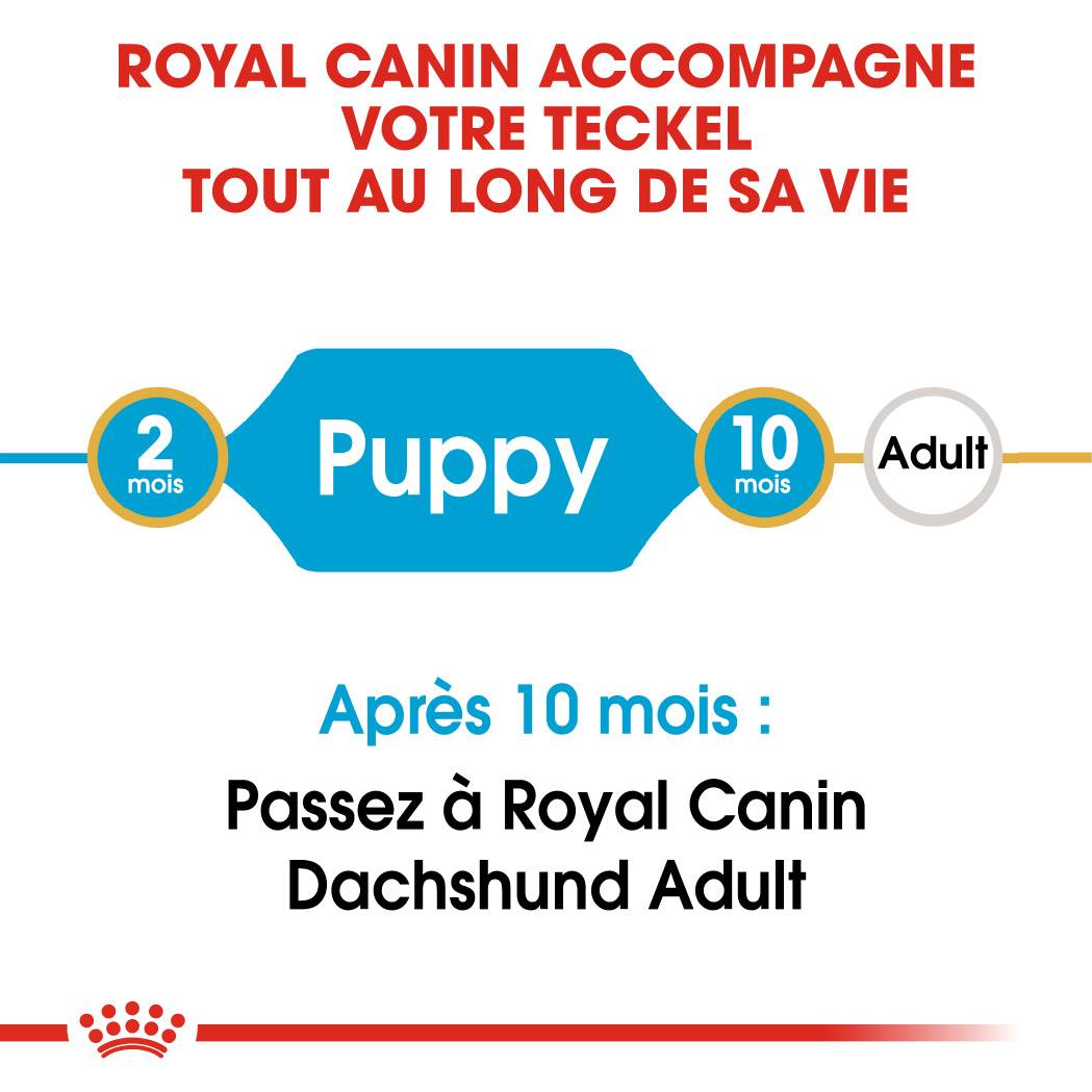 Royal Canin - Croquettes chien junior 1.5kg teckel – ROYAL CANIN - Image 6