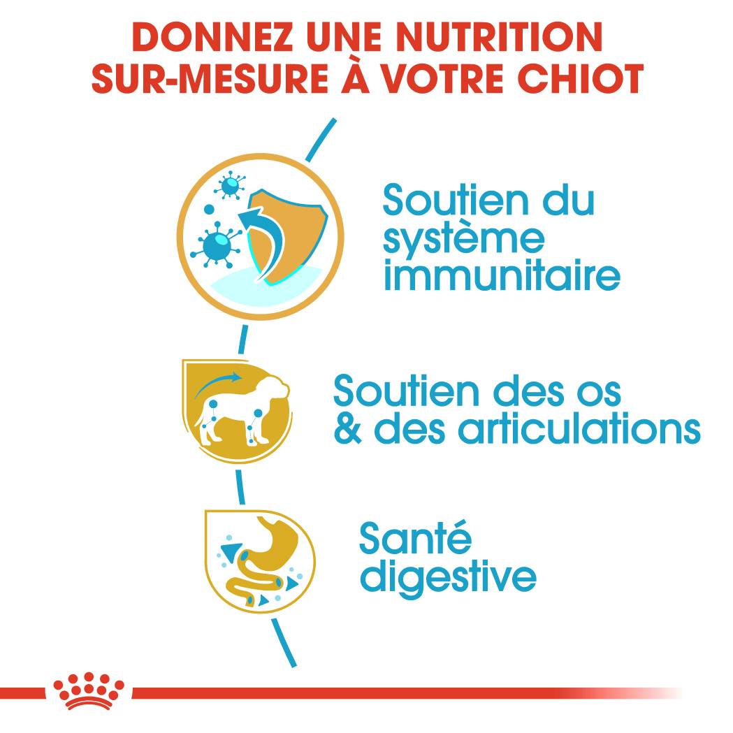Royal Canin - Croquettes chien junior 1.5kg teckel – ROYAL CANIN - Image 8