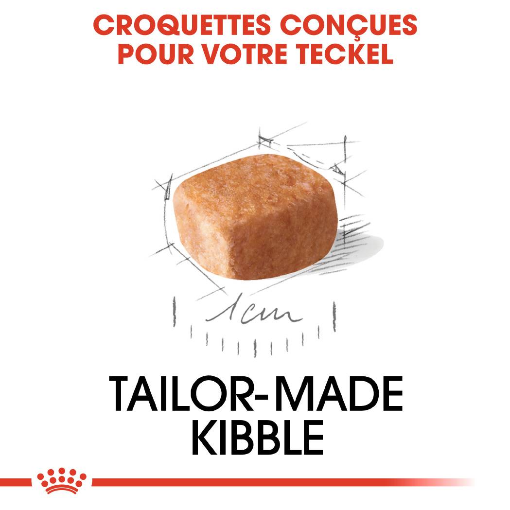 Royal Canin - Croquettes chien junior 1.5kg teckel – ROYAL CANIN - Image 2
