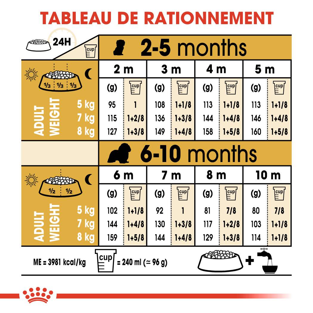Royal Canin - Croquettes chiot Cavalier King Charles Junior – ROYAL CANIN - Image 5