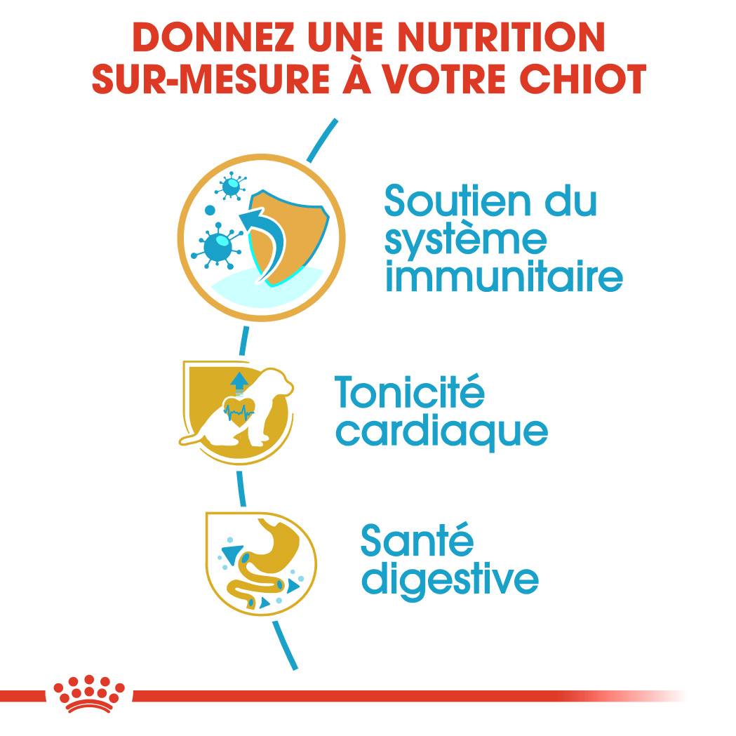 Royal Canin - Croquettes chiot Cavalier King Charles Junior – ROYAL CANIN - Image 8