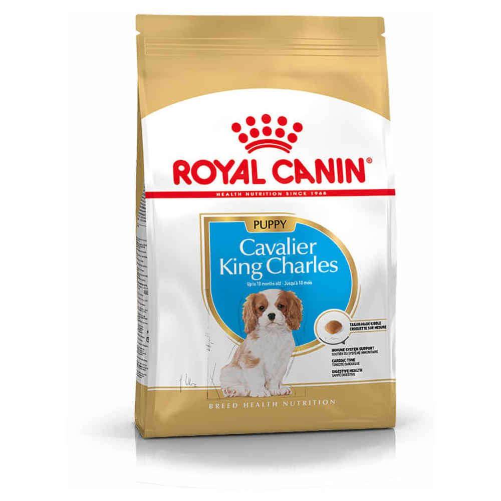 Royal Canin - Croquettes chiot Cavalier King Charles Junior – ROYAL CANIN - Image 9