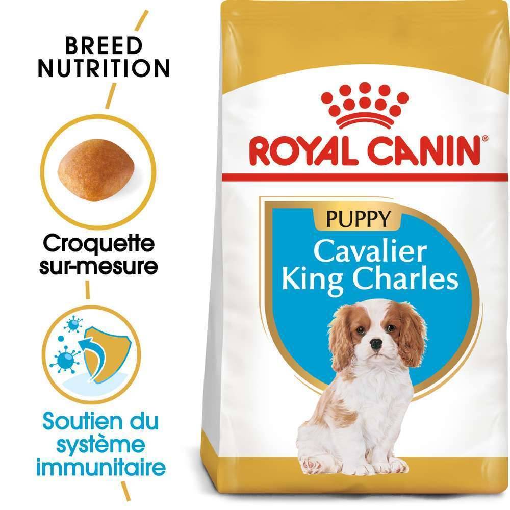 Royal Canin - Croquettes chiot Cavalier King Charles Junior – ROYAL CANIN - Image 16