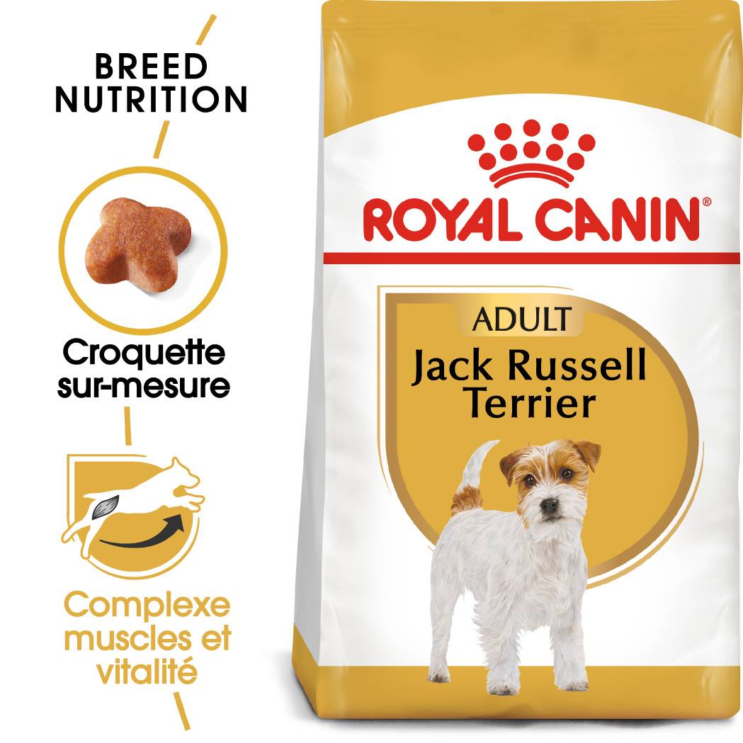 Royal Canin - Croquettes Chien Jack Russell Terrier – ROYAL CANIN