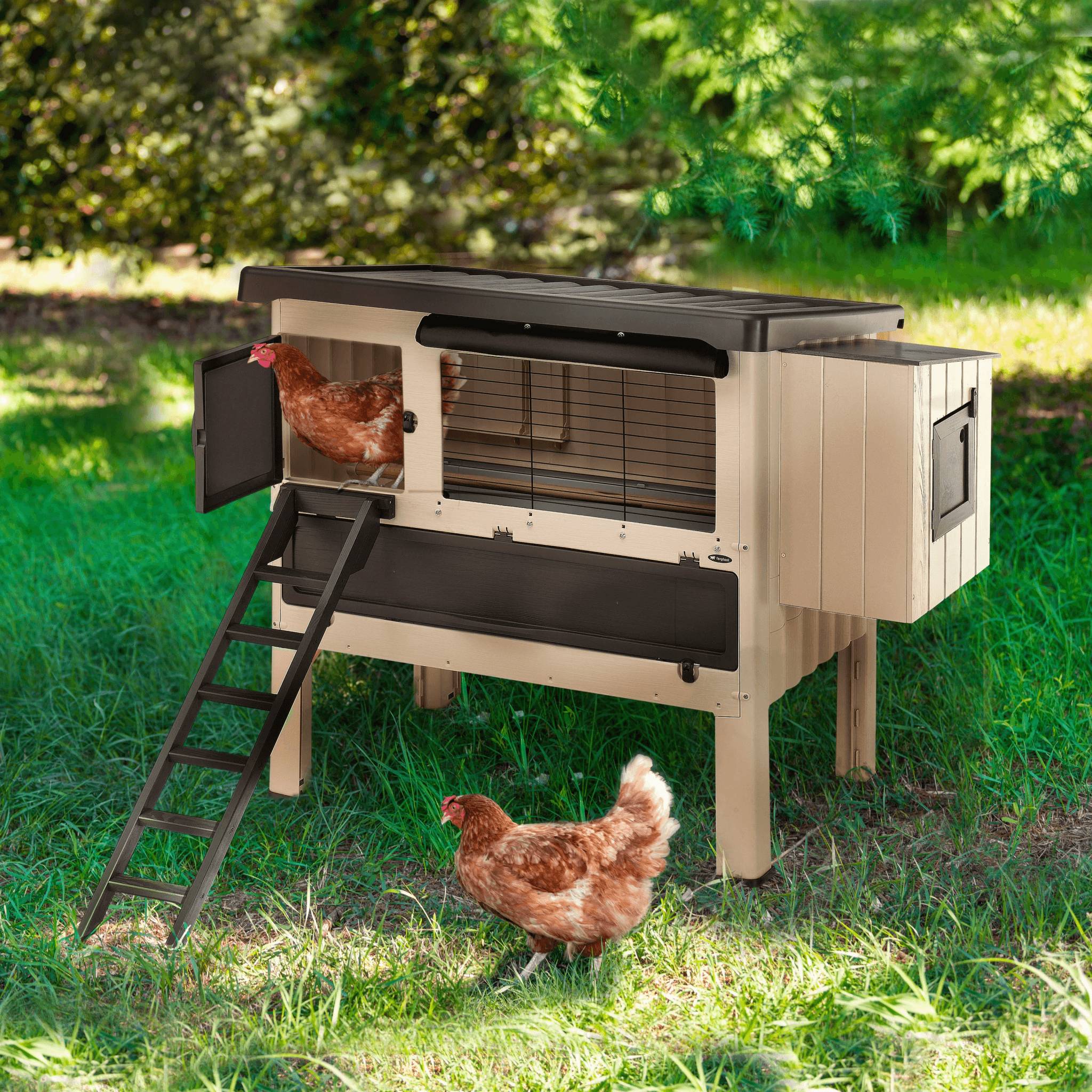 Ferplast - Poulailler Happy Farm 120 – FERPLAST - Image 2