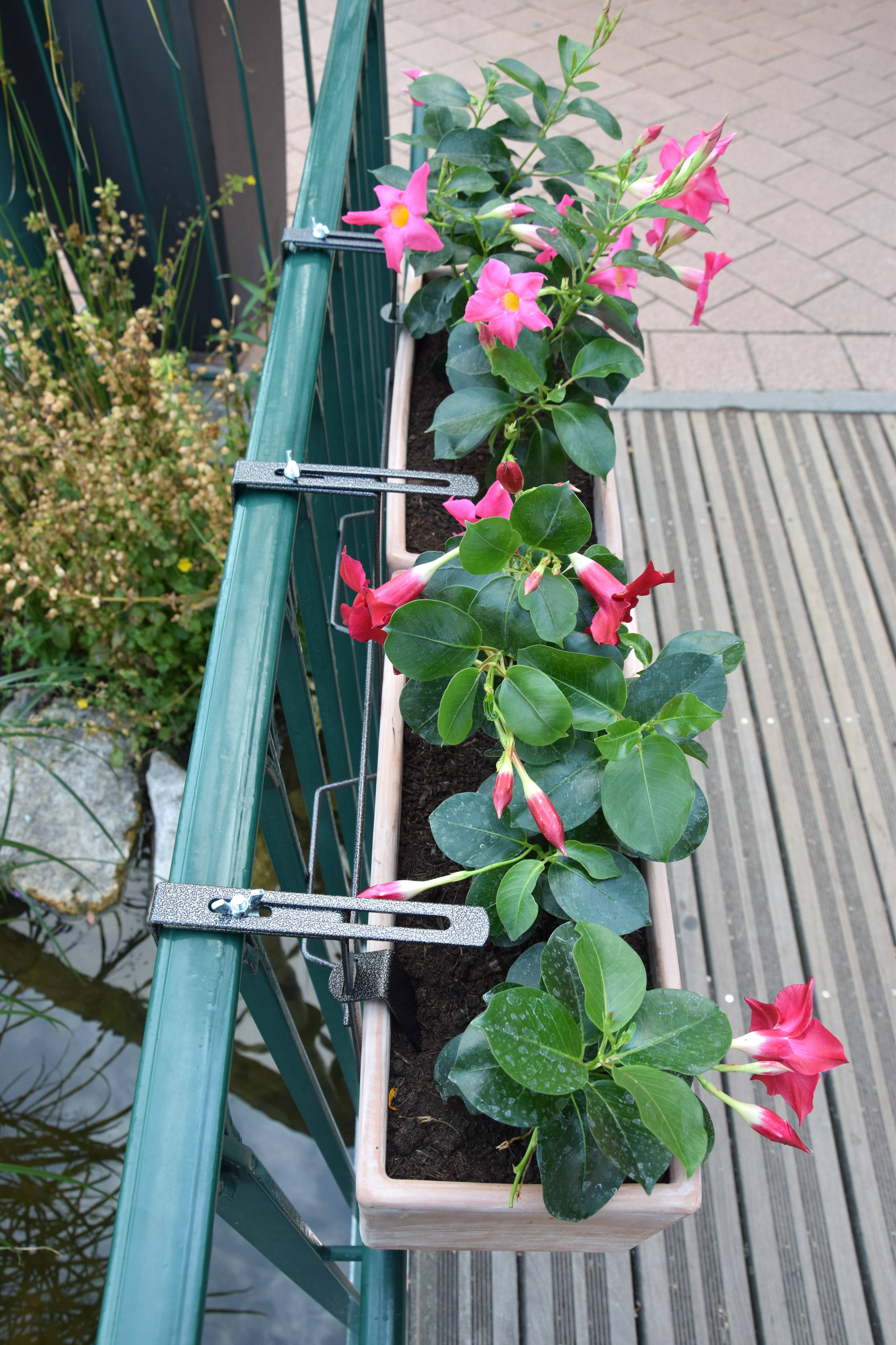Louis Moulin - Support de Jardinière - LOUIS MOULIN - Image 4