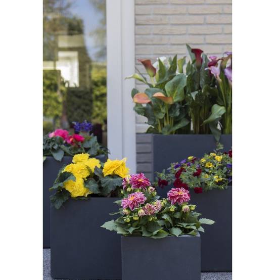 Bac à fleurs fibre de terre L55 H46 cm anthracite - Image 2