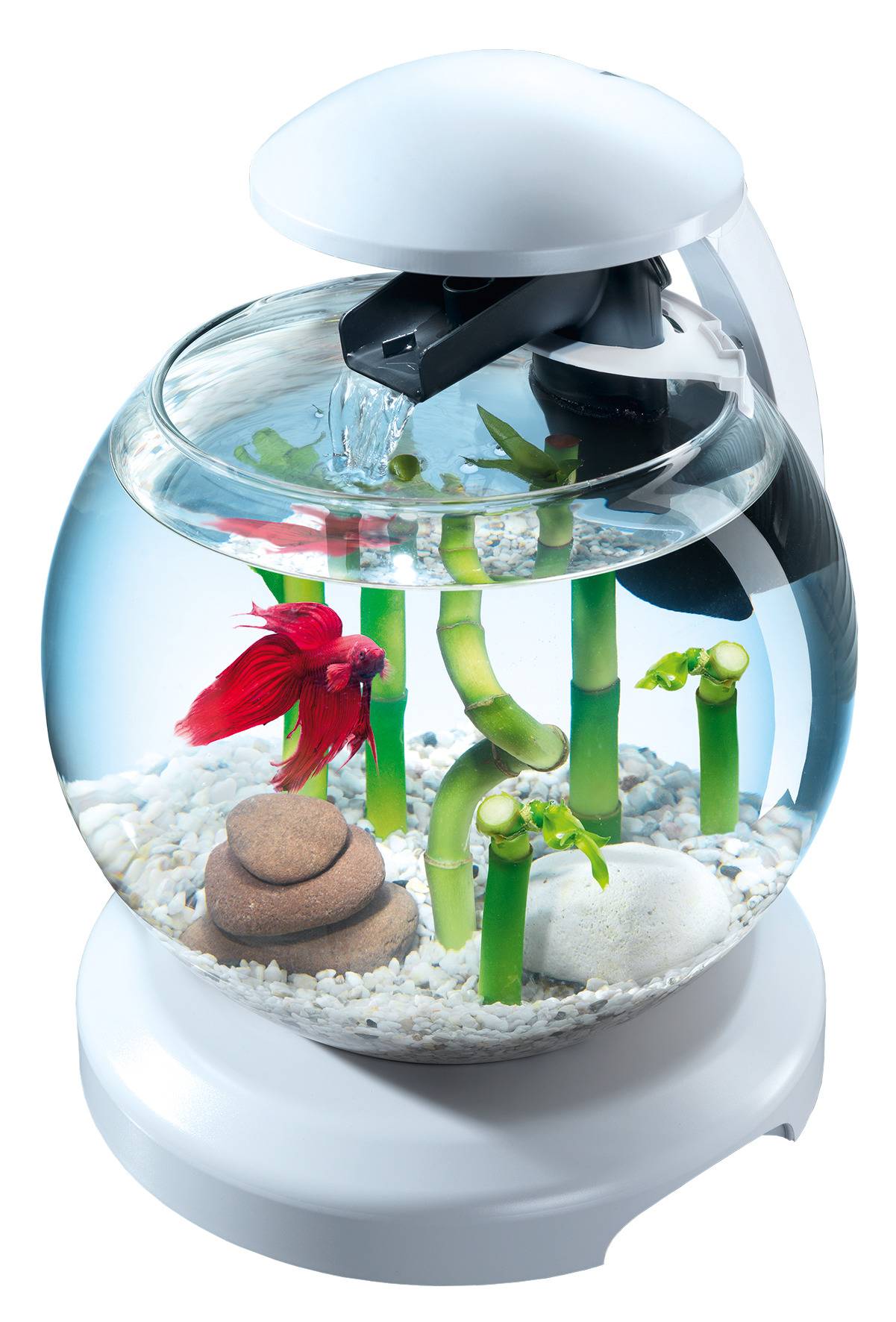 Tetra - Tetra - Aquarium en verre Cascade Globe White edition 6,8 L - Image 2