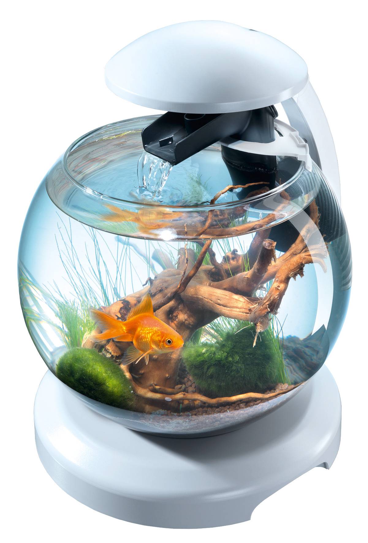 Tetra - Tetra - Aquarium en verre Cascade Globe White edition 6,8 L - Image 3