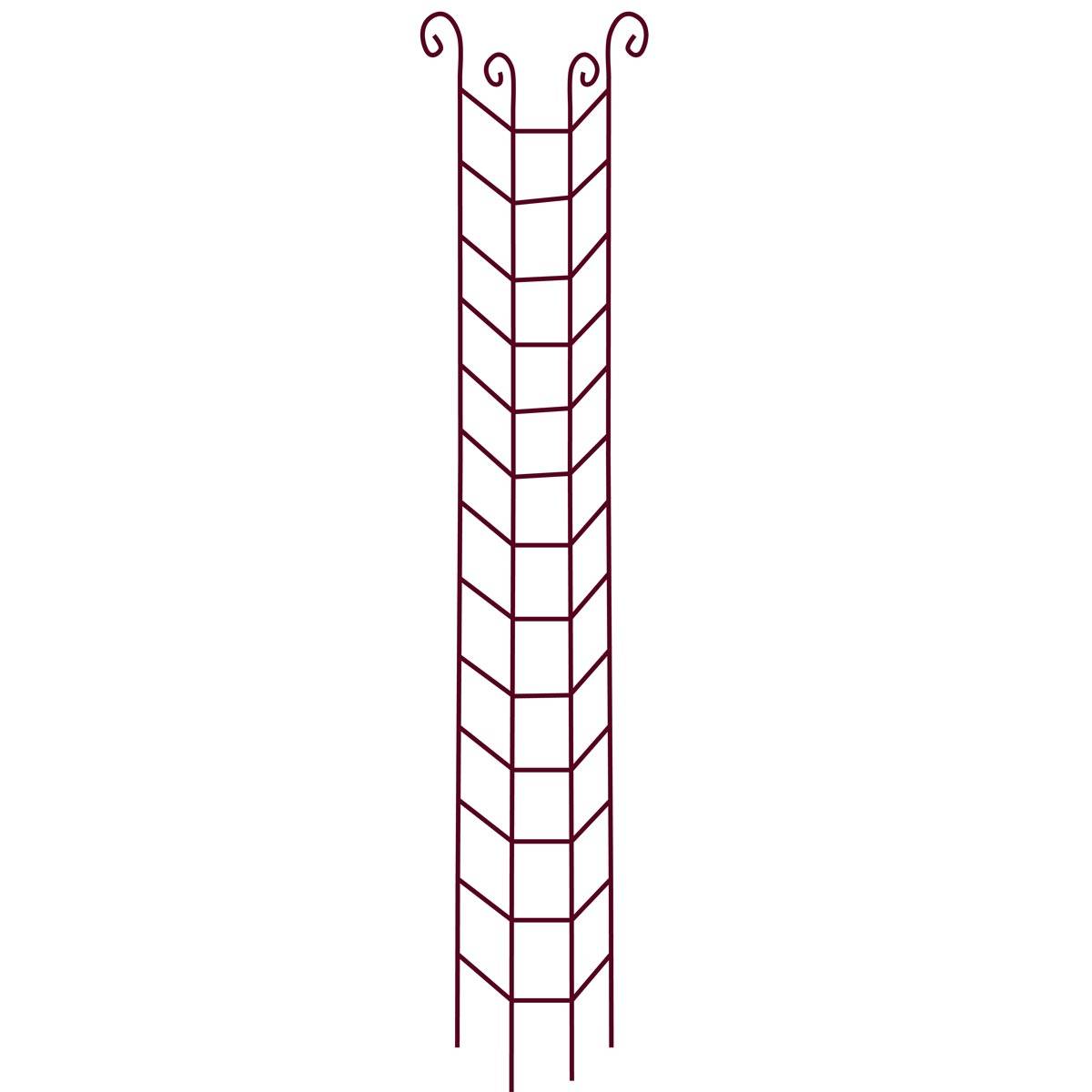 Vitis - Colonne Rosier Grimpant Volute - GPT - Image 2