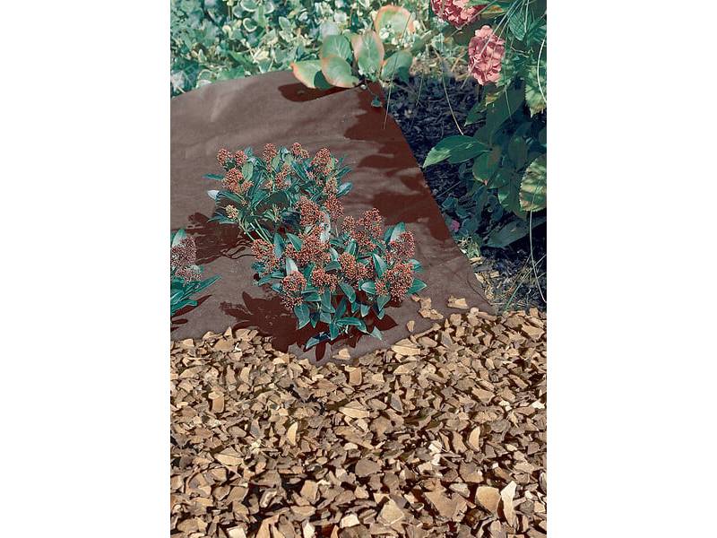Nortène - Feutre de paillage PP non tissé marron 1,60x5 m - NORTENE - Image 1