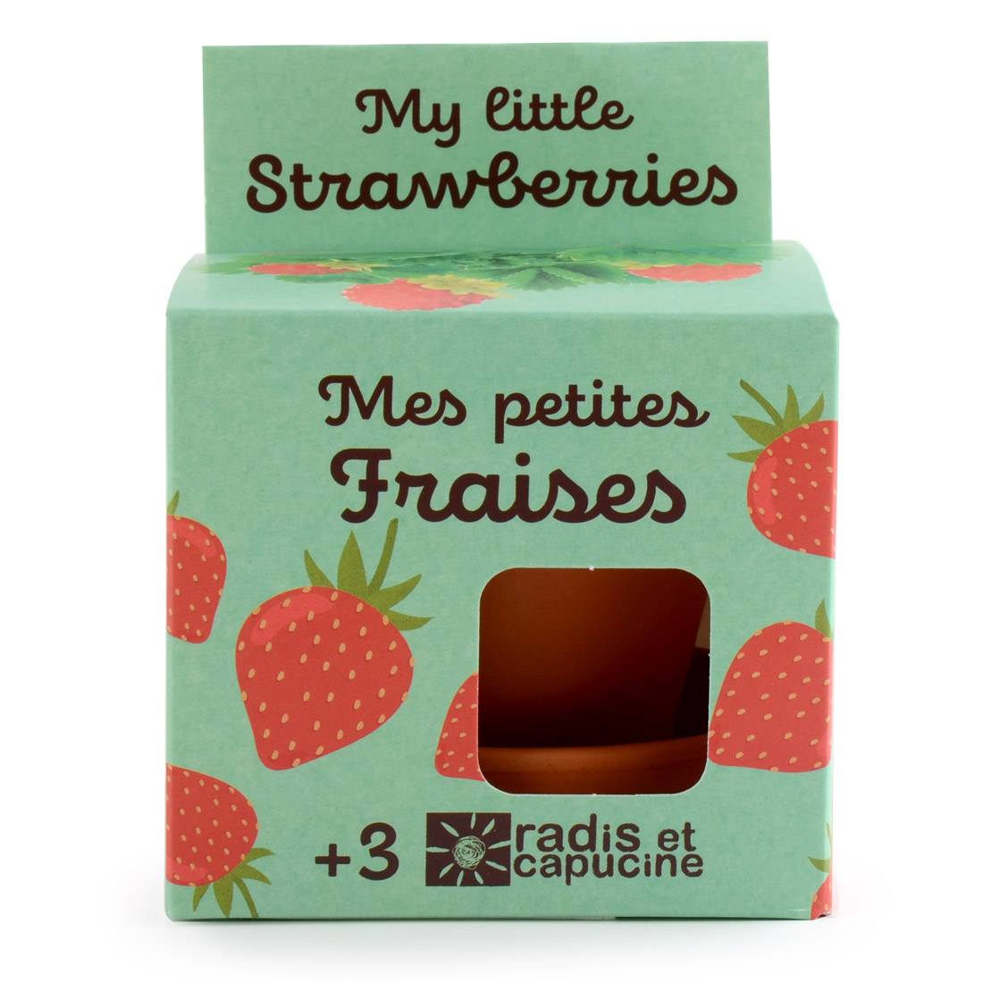 Radis et Capucine - Pot 8 cm avec coupelle Fraisier - Radis et Capucine - Image 3