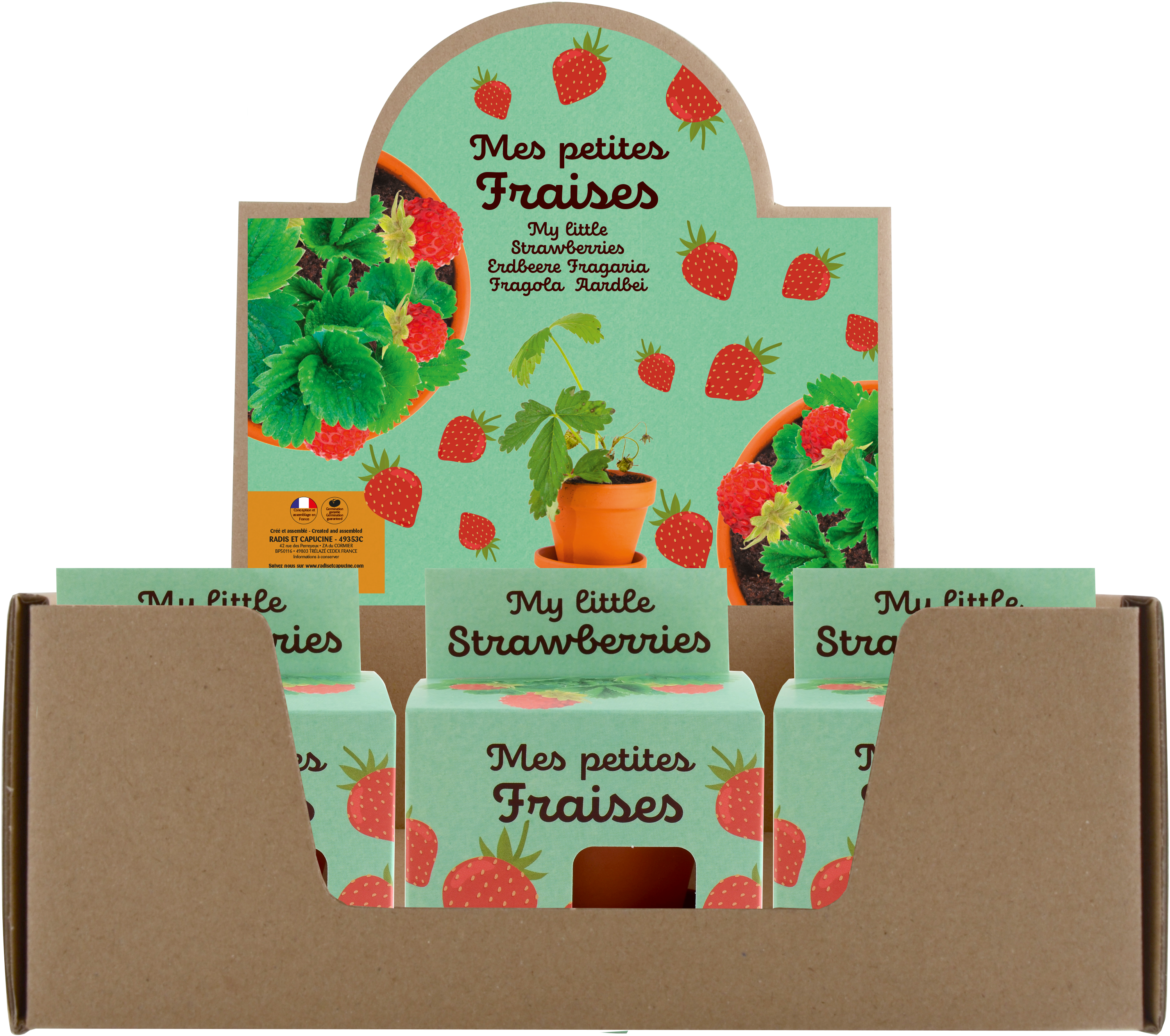 Radis et Capucine - Pot 8 cm avec coupelle Fraisier - Radis et Capucine - Image 1