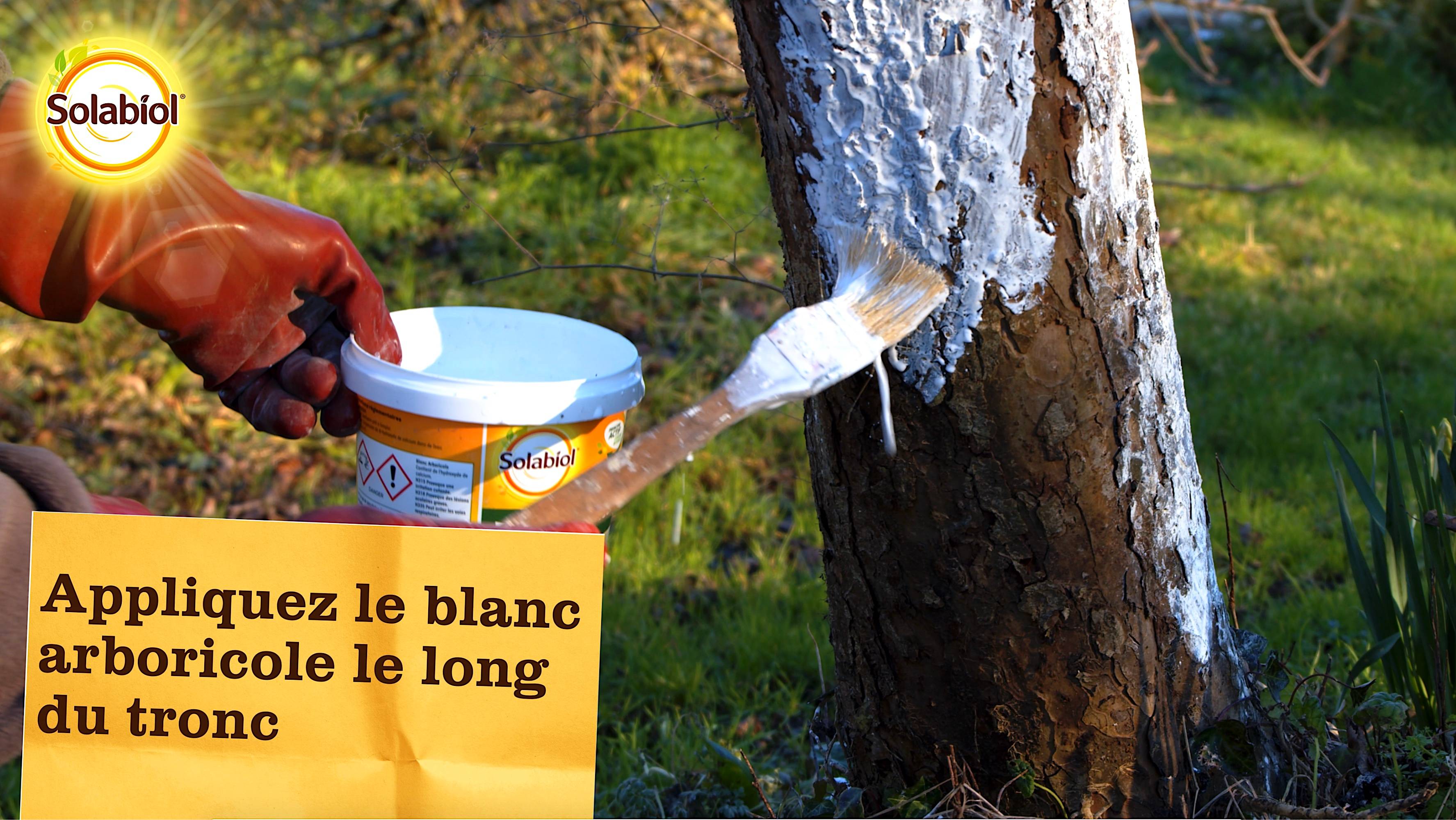 Solabiol - BLANC ARBORICOLE 1 L SOL - Image 3