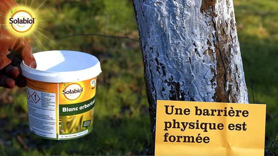 Solabiol - BLANC ARBORICOLE 1 L SOL - Image 9