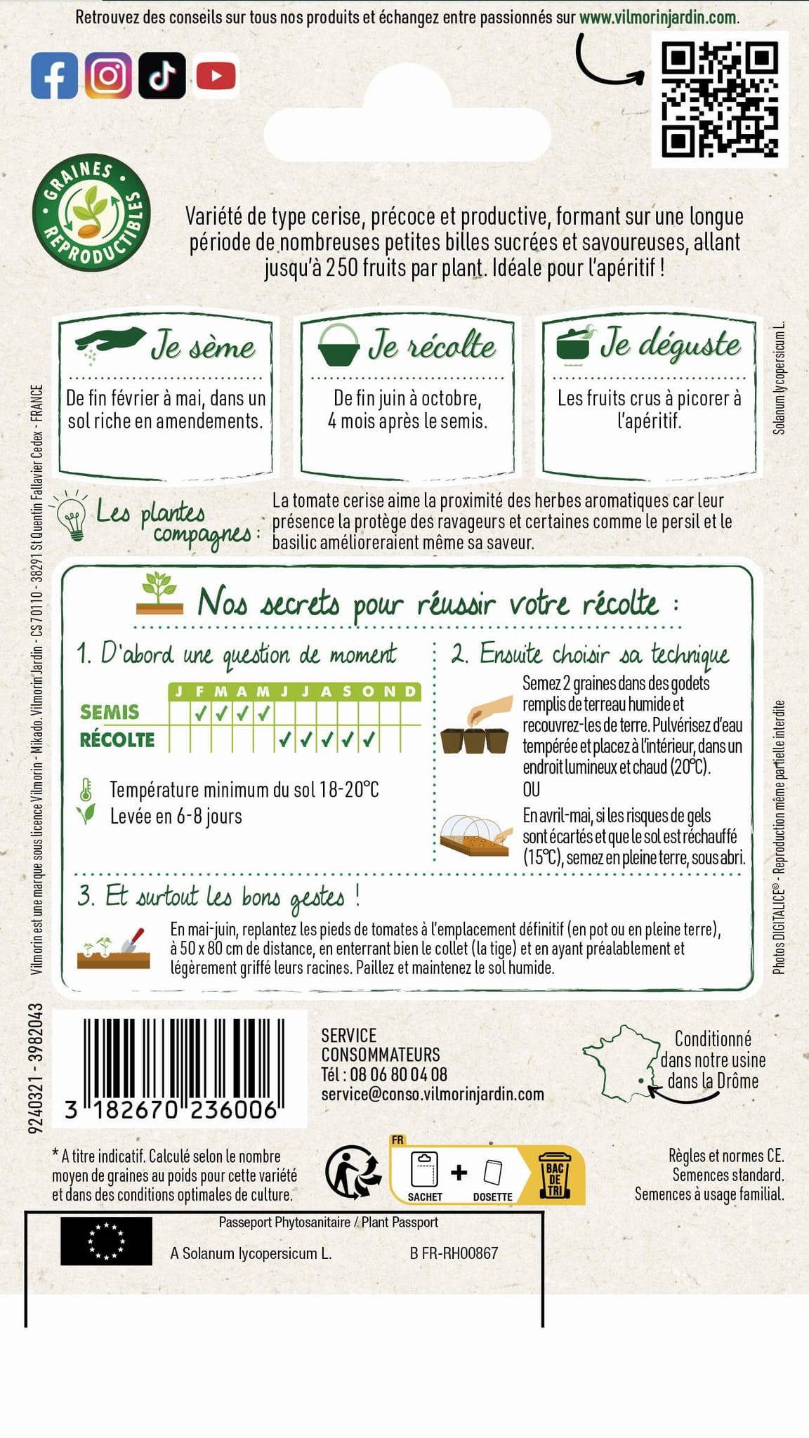 Vilmorin - Tomate Sweetbaby serie 3 sachet graines 0,2 g - Vilmorin - Image 4