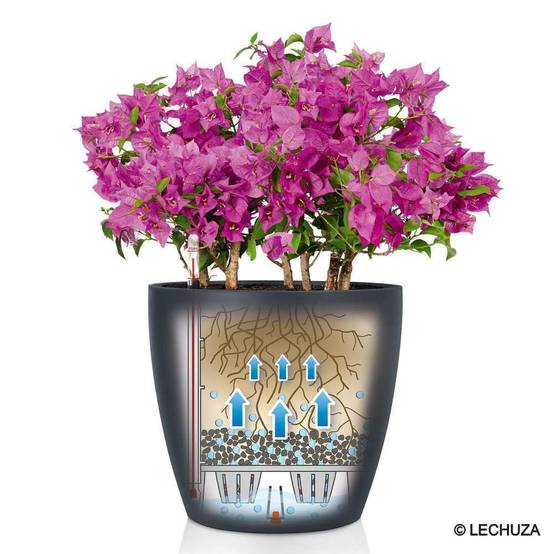 POT CLASSICO COLOR GRIS ARDOISE D28CM - Image 4