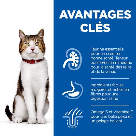Science plan - Chat Mature Adult MP Poulet Poisson 12x85g