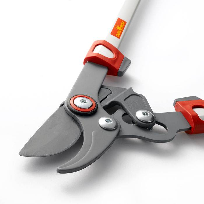 Outils Wolf - Élagueur confort à coupe franche 40 mm Powercut L.65 cm - Outils Wolf - Image 4