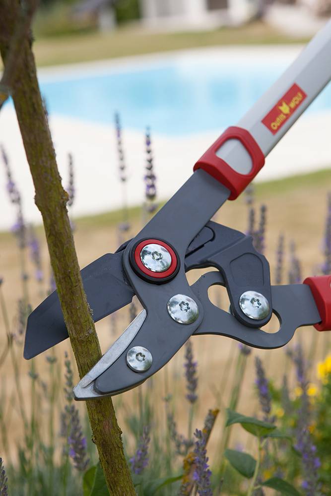Outils Wolf - Élagueur confort à coupe mixte 40 mm L. 65 cm Powercut - Outils Wolf - Image 2