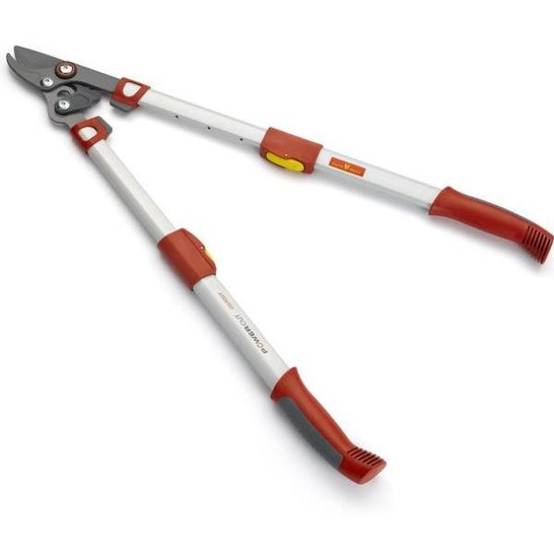 Outils Wolf - Élagueur téléscopique premium à coupe franche 50 mm Powercut – Outils Wolf - Image 5
