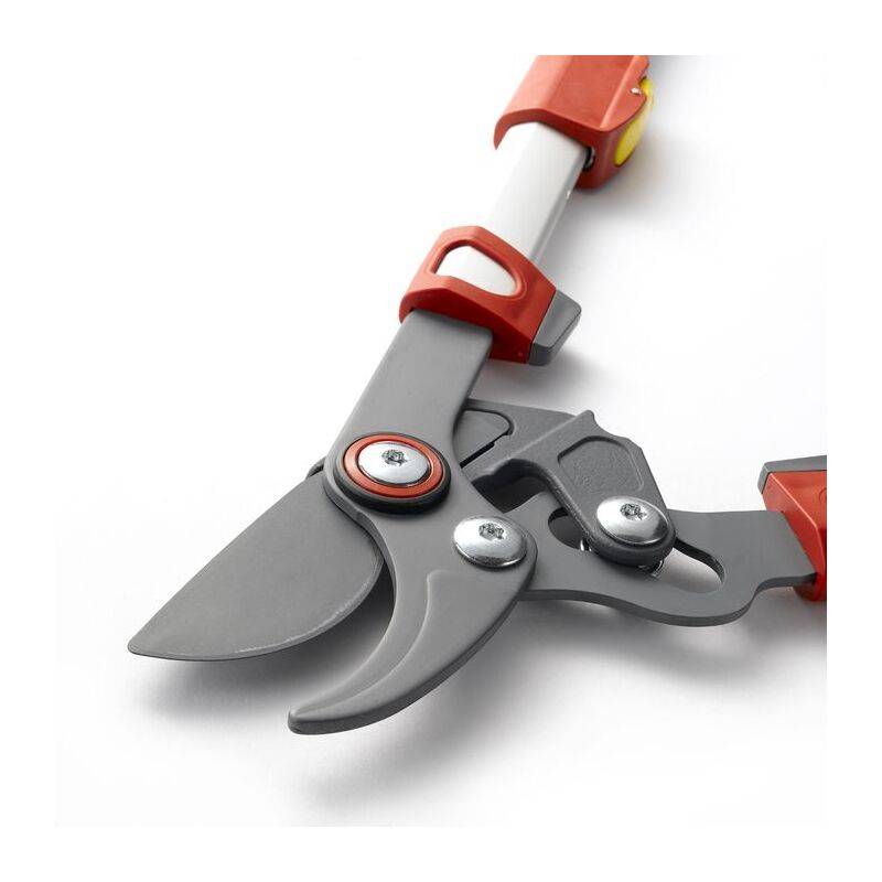 Outils Wolf - Élagueur téléscopique premium à coupe franche 50 mm Powercut – Outils Wolf - Image 13