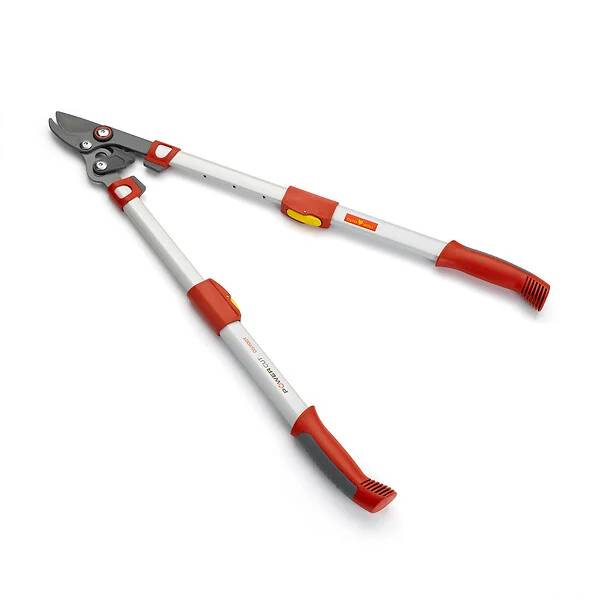 Outils Wolf - Élagueur téléscopique premium à coupe franche 50 mm Powercut – Outils Wolf - Image 1
