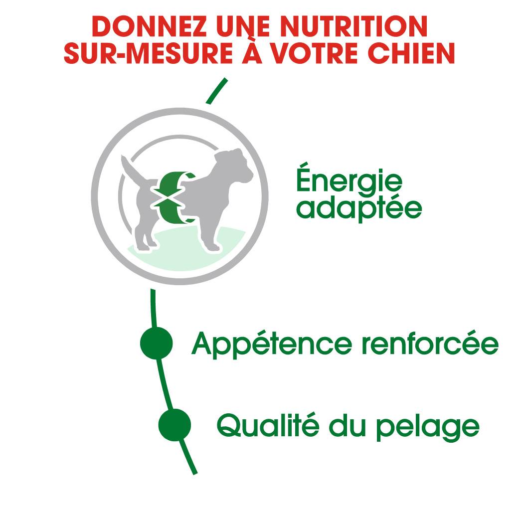 Royal Canin - Croquettes Chien Adulte Petit - ROYAL CANIN - Image 4
